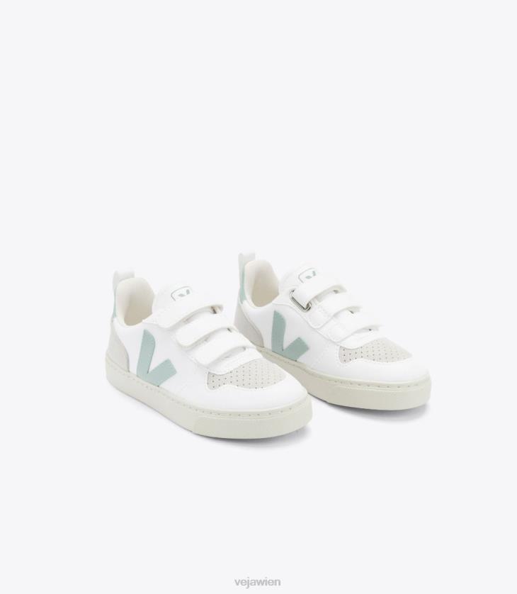 8JL44360Veja v-10 cwl weißer Matcha
