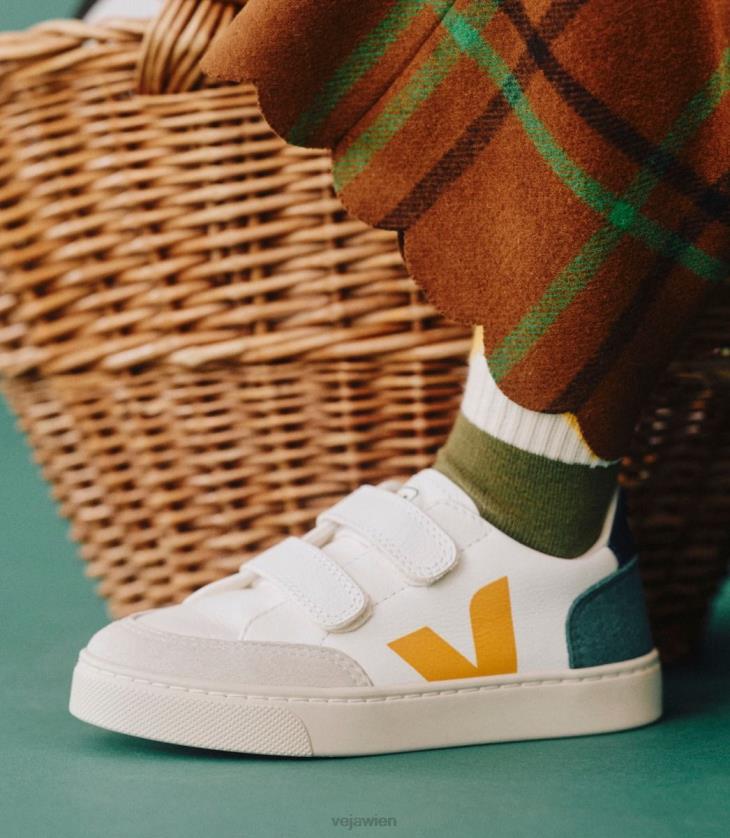 8JL44308Veja V-12 Chromfreies Leder Multico Brittany