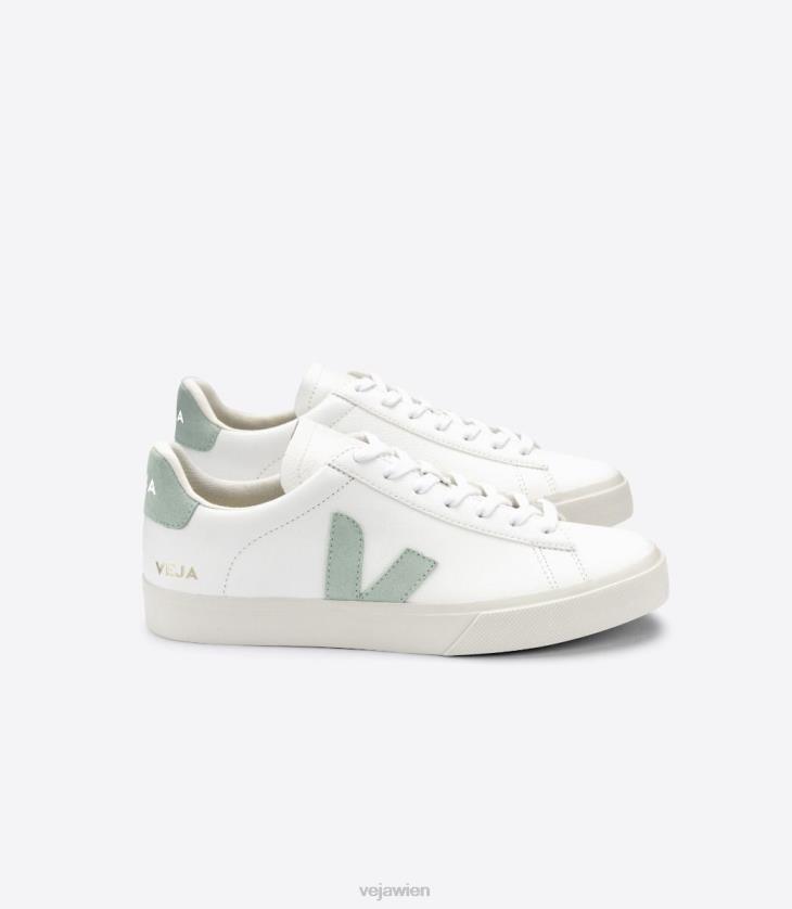 8JL4417Veja Campo chromfreies Leder weiß Matcha